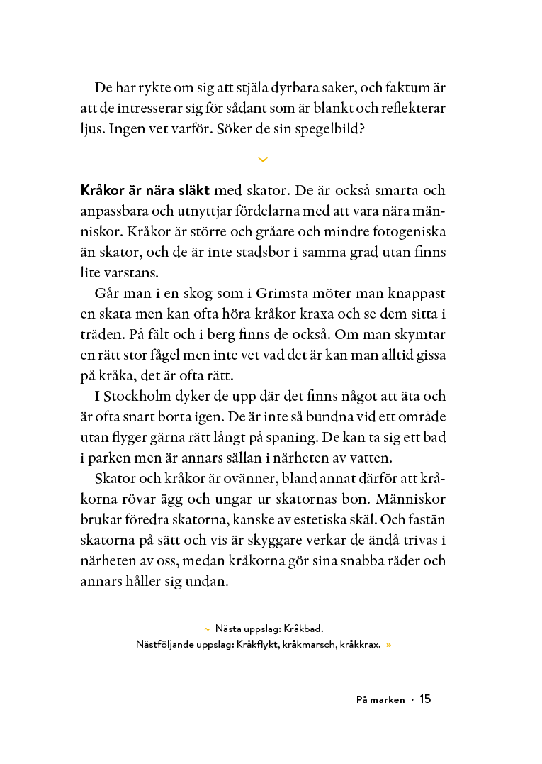 Rectangle